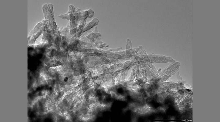 Micrografía TEM de las nanocápsulas minerales. Se distinguen las cavidades internas destinadas a la incorporación del nutriente, mientras que la propia estructura de la cápsula está constituida por elementos minerales de interés agronómico, por lo que actúa simultáneamente como sistema de encapsulación y como nanofertilizante.
