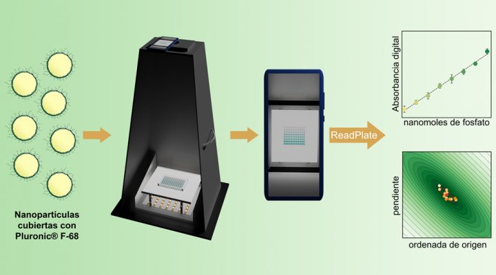 La tecnolog&iacute;a econ&oacute;mica, r&aacute;pida y port&aacute;til para medir fosfato, desarrollada por especialistas del CONICET y de la UBA, se basa en el empleo de tel&eacute;fonos inteligentes.
