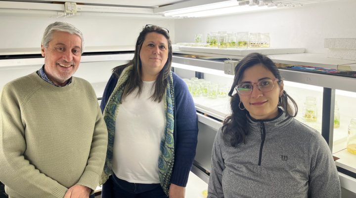 Grupo de investigación con el acelerador de partículas de la plataforma Agrobiotec.