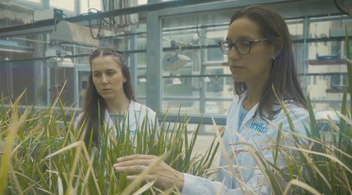 Renata Reinheimer es investigaora del CONICET en el Instituto Agrobiotecnolog&iacute;a del Litoral (IAL, CONICET-UNL) y cofundadora y CEO de INFIRA. Creditos: OMPI.