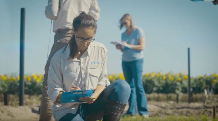 Renata Reinheimer es investigaora del CONICET en el Instituto Agrobiotecnolog&iacute;a del Litoral (IAL, CONICET-UNL) y cofundadora y CEO de INFIRA.